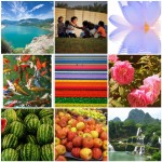 My Vision for 2012: Abundance Prompt #4