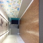 IMG_3709 IMG_3709