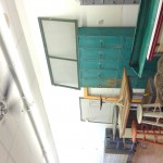 IMG_3737 IMG_3737